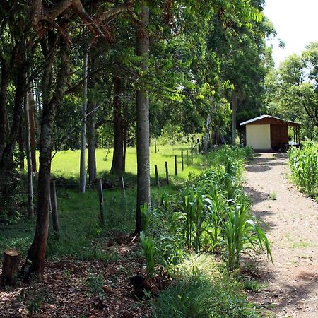 Cabana Na Serra Gaucha! Пикада Кафе Екстериор снимка